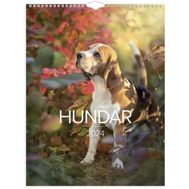 P61177724 Kalender Stora Hundkalendern 2024