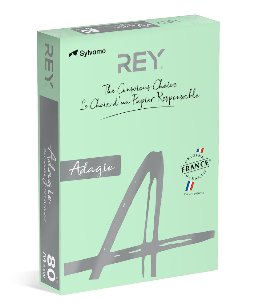 Rey Färgat kopieringspapper Adagio A3 80g 500/fp Green