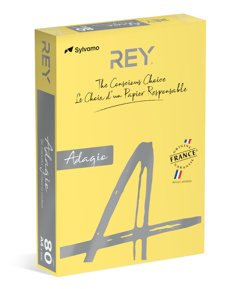 Rey Färgat kopieringspapper Adagio A4 80g 500/fp Citrus