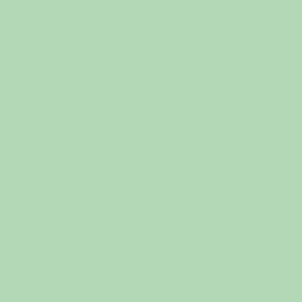 Image Coloraction Kopieringspapper Image A3 80g pastel green 500st/fp