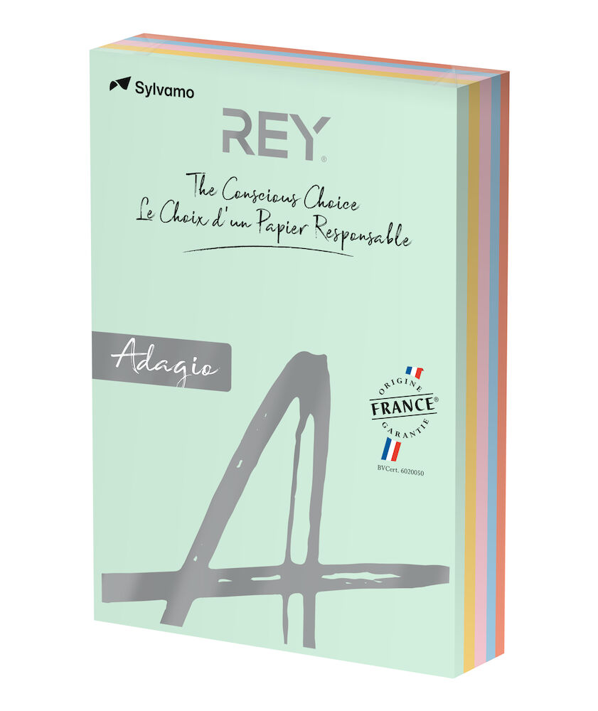 Rey Färgat kopieringspapper A4 80g pastell 200/fp