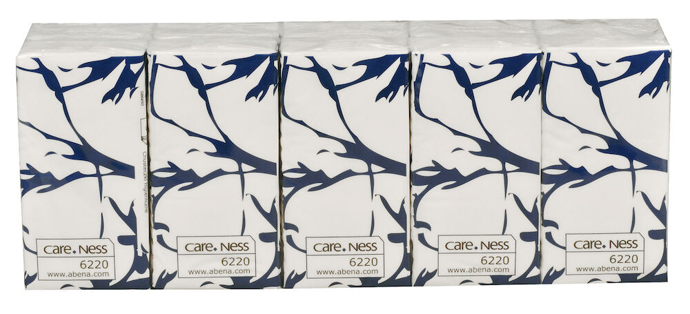 CareNess Näsduk 3-lags vit 10 x 10 st/fp
