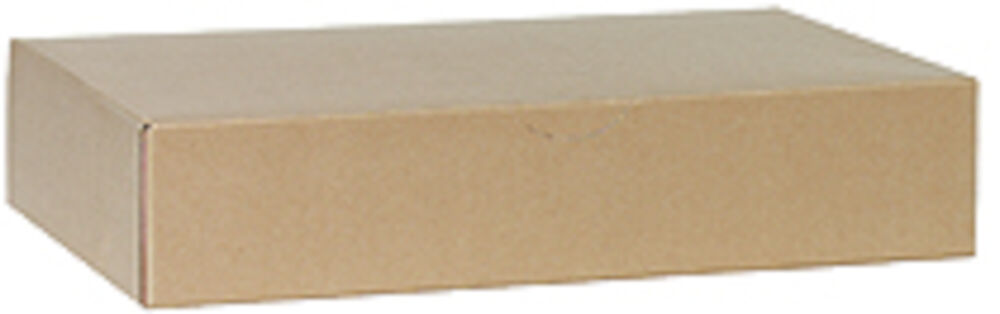 NoBrand Arkivkartong Posten Folio 80mm