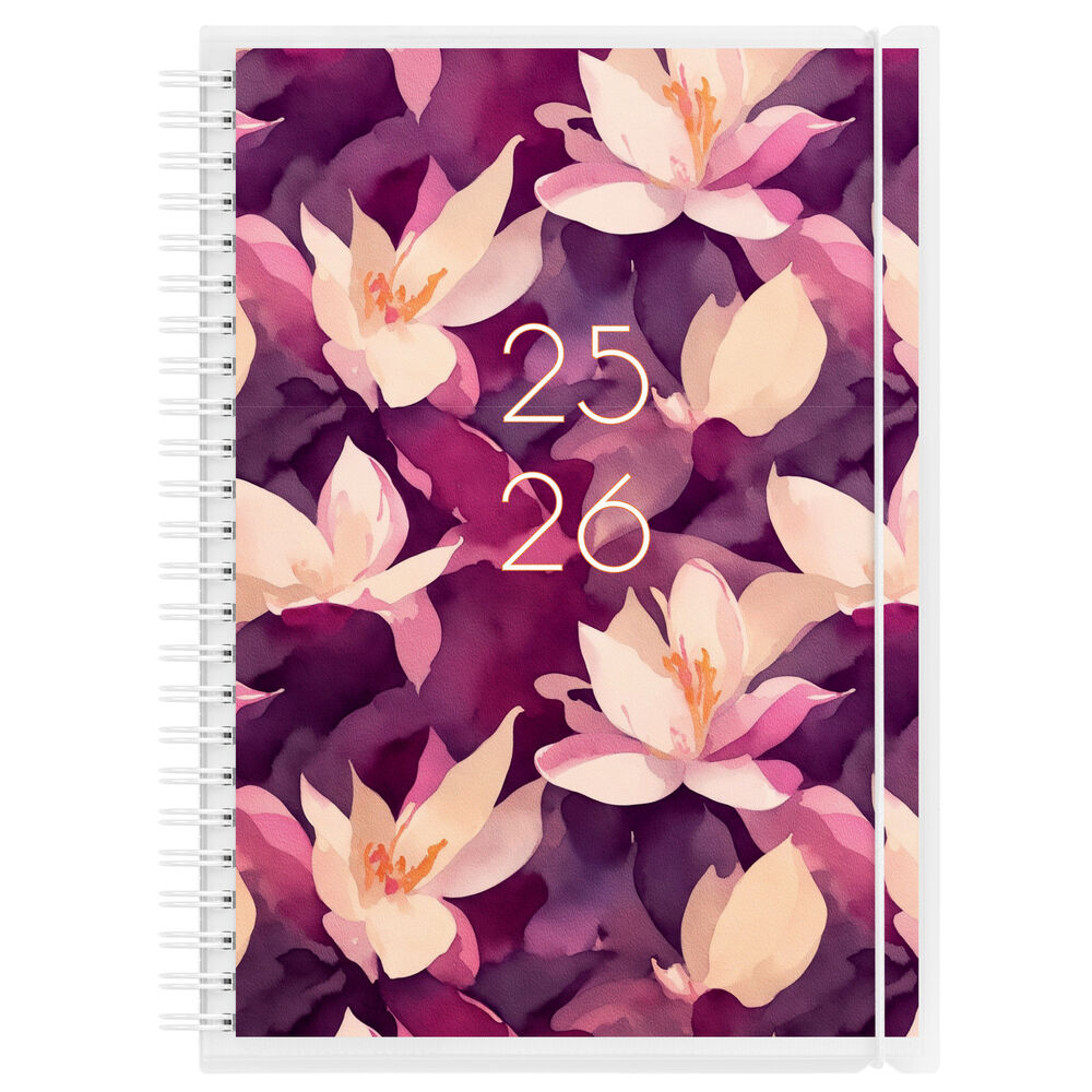 Burde Kalender Study 4i1 A5 25/26