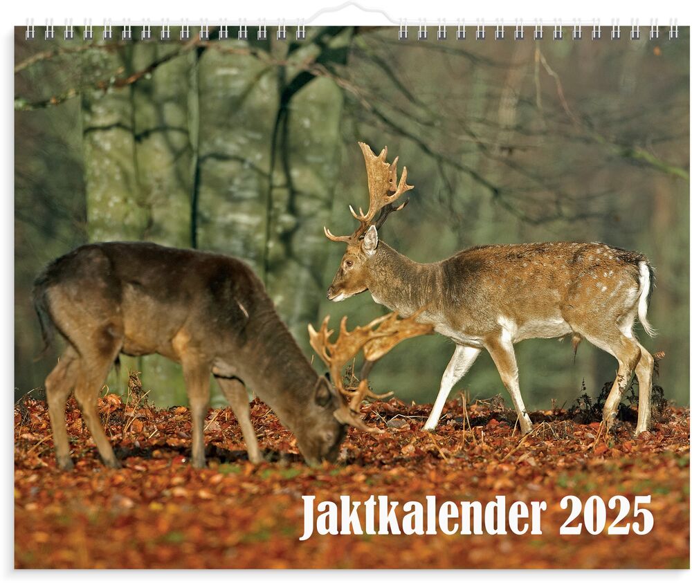 Burde Väggkalender Jaktkalender 2025