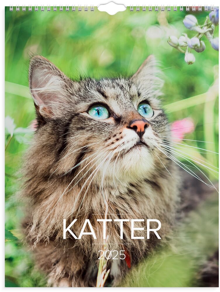 Burde Väggkalender Stora Kattkalendern 2025