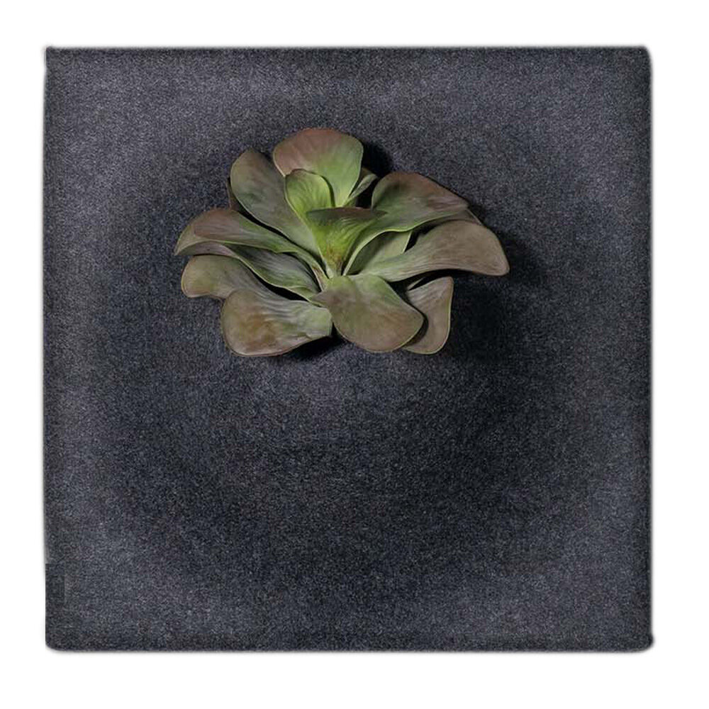 Götessons Ljudabsorbent PlantPanel 58x58x21 cm Slate