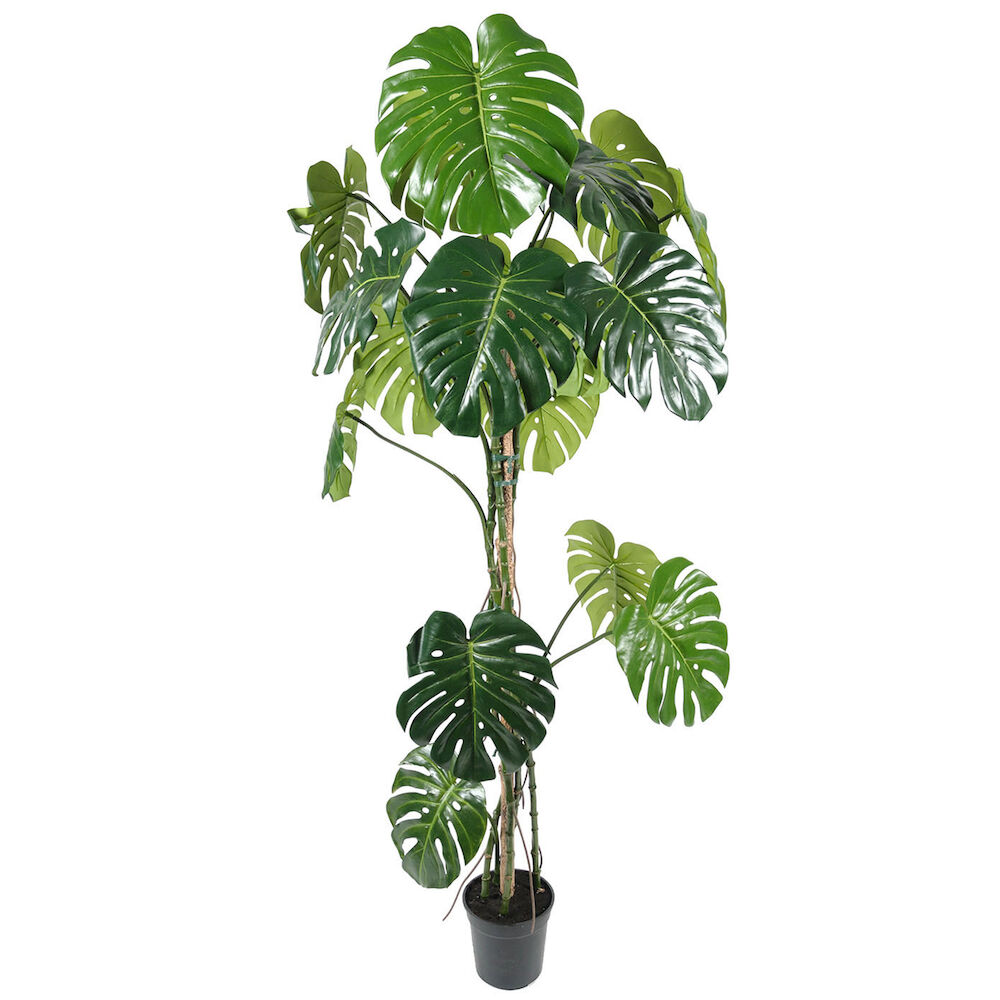 Mr Plant Konstväxt Monstera 180 cm