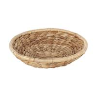 Fat Lily vattenhyacint