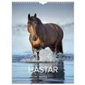 Kalender Stora Hästkalendern 2024