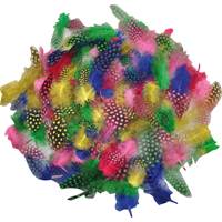 Fjädrar Pärlhöns 100-pack