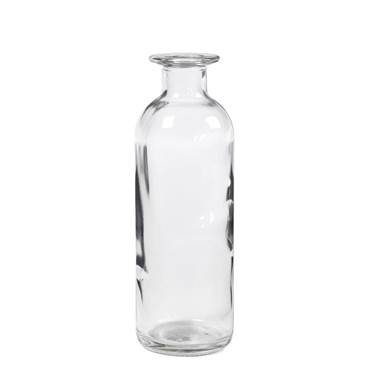 P8300454 Flaska / Vas glas H:160 mm 235 ml