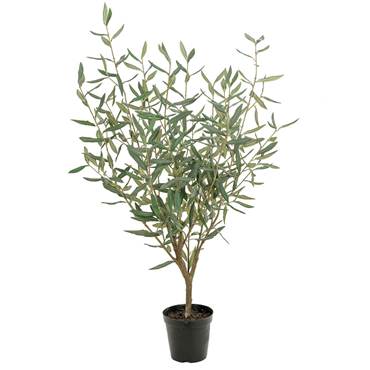 P8565181 Konstväxt Olivträd 