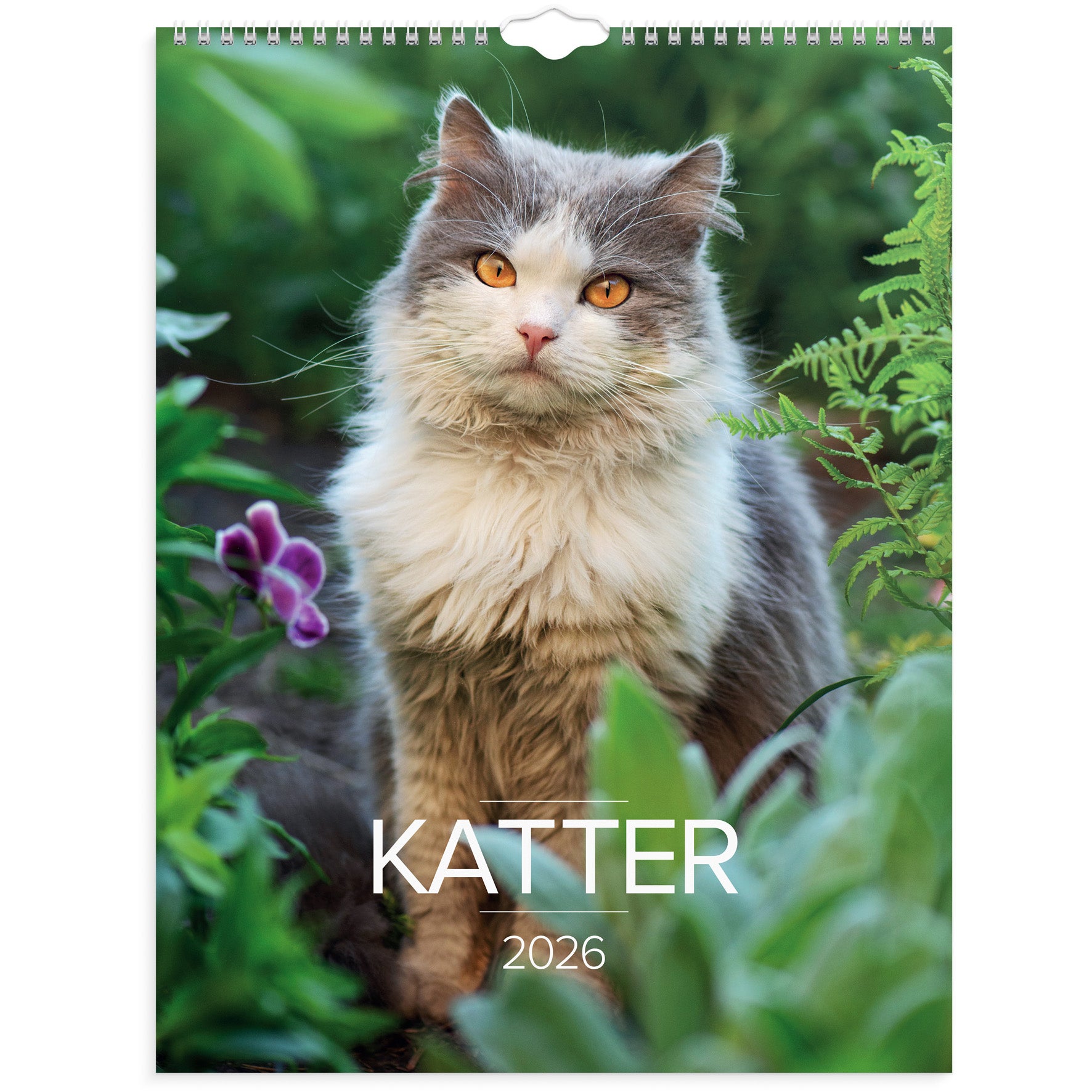 Stora Kattkalendern vägg 2026