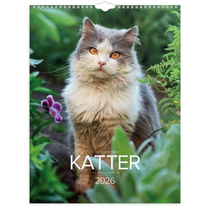 Stora Kattkalendern vägg 2026