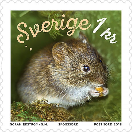 Tilläggsfrimärke Skogssork 1 kr 100 st/rulle