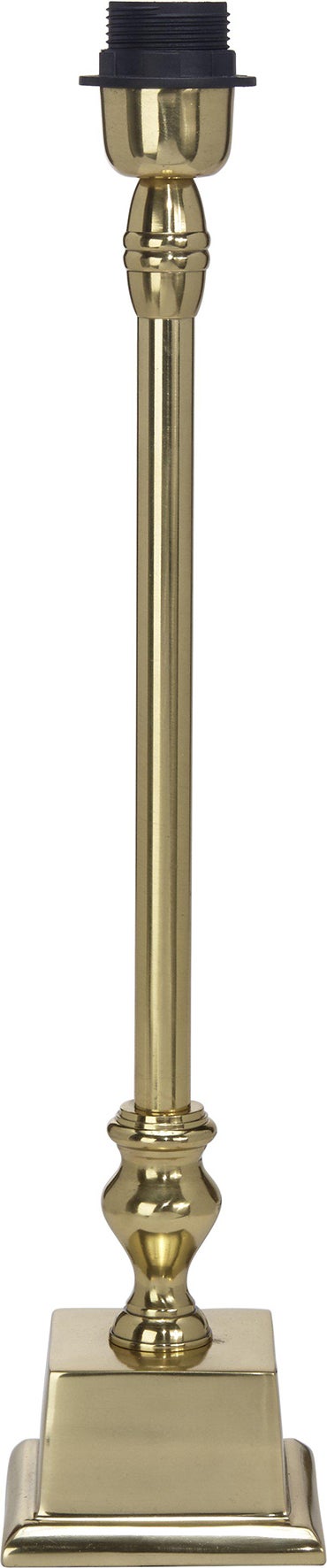 Lampfot Linné