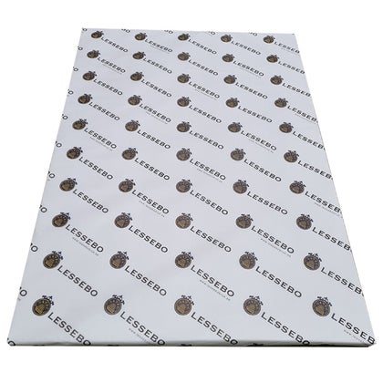 Kopieringspapper Scandia 2000 170 gram 450x320 mm 250 st/fp