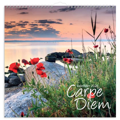 Väggkalender Carpe Diem 2026