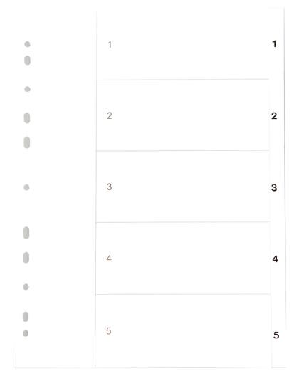 Register vit kartong A4 1-5