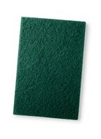 Skurnylon 22x14 cm grön 10/fp