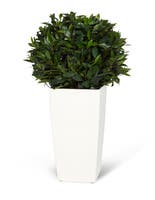 Konstväxt lagerboll Ø 35 cm