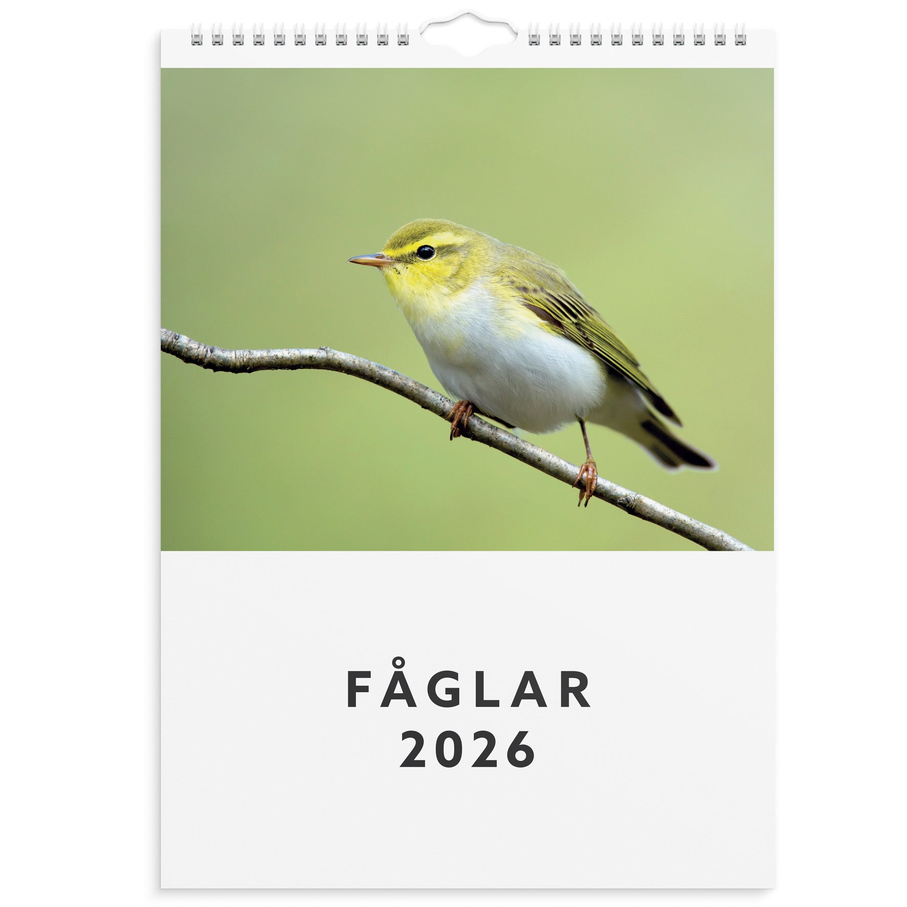 Väggkalender 2026 Fåglar