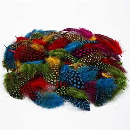 Fjädrar Pärlhöns 50g