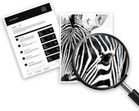 Toner HP CC364XC Contract svart