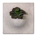 Ljudabsorbent PlantPanel 58x58x21 cm Hemp