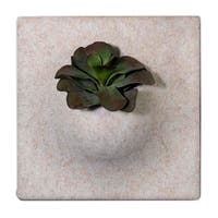 Ljudabsorbent PlantPanel 58x58x21 cm Hemp