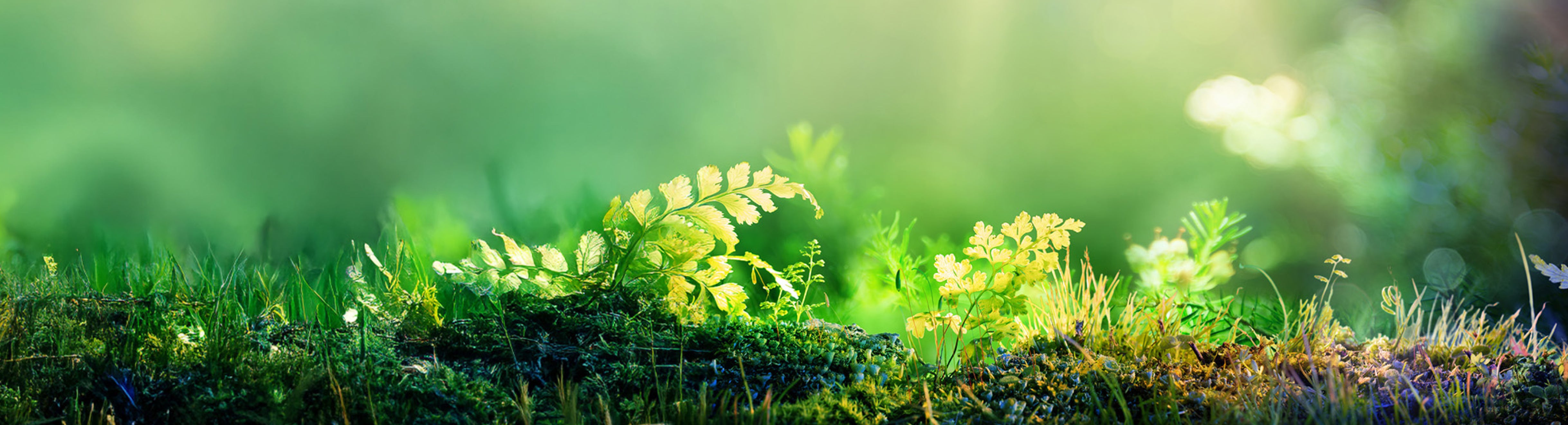 Banner Content_1170x317_utgangspunkter.jpg