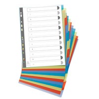 Register A4 returplast 12 flikar