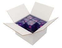 Wellåda 430x310x175 mm 5 mm vit