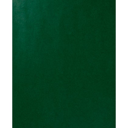 Presentpapper Grön 0,5x5 m