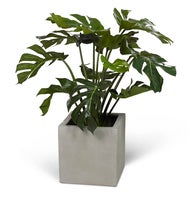 Konstväxt Split philo 80 cm