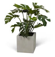 Konstväxt Split philo 80 cm