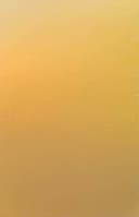 Presentpapper 57 cm x 154 m guld