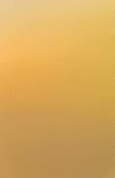 Presentpapper 57 cm x 154 m guld