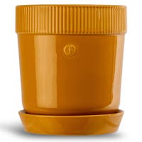 Kruka Elise liten Gul