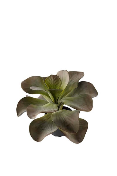 Konstväxt Kalanchoe 25 cm