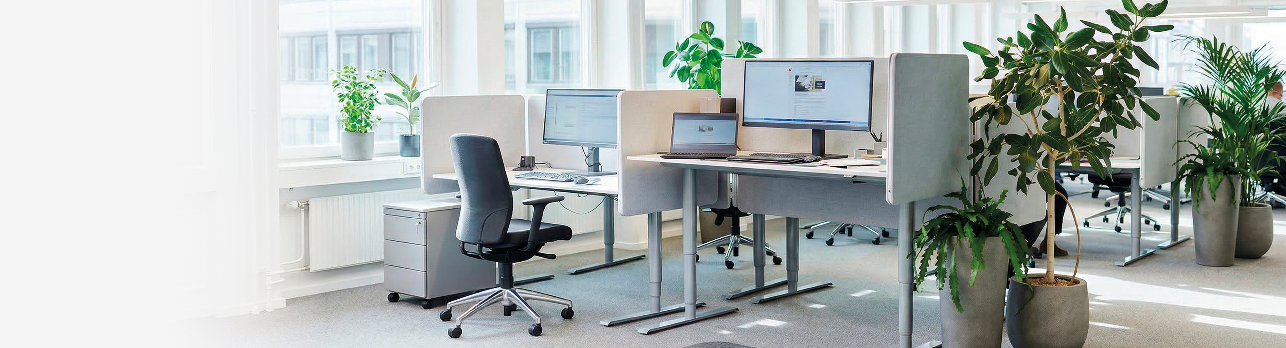 Banner Content_1170x317_vaxtservice_NY.jpg