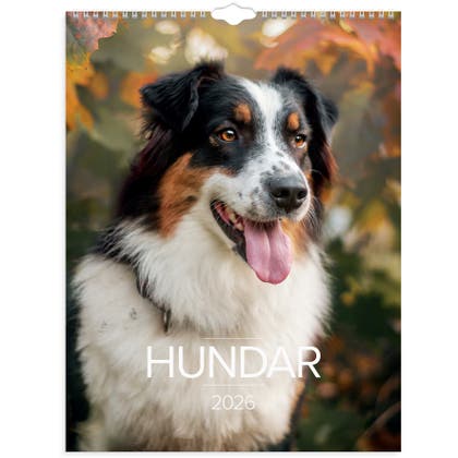 Stora Hundkalendern vägg 2026