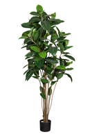 Konstväxt Fikus Robusta 180 cm