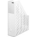 Tidskriftssamlare Han transparent