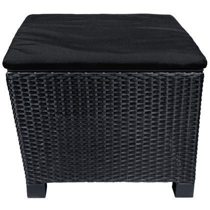 Pall/bord Lyon fiberrotting Xirbi