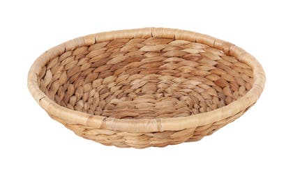 Fat Lily vattenhyacint