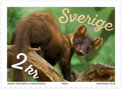 Tilläggsfrimärke Mård 2 kr