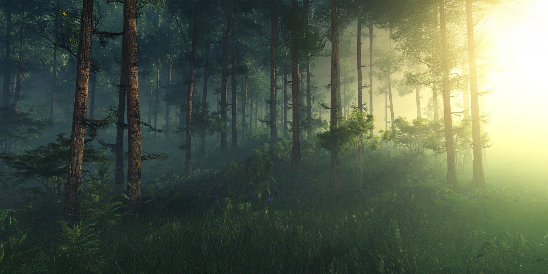 Hallbarhet_hos OD_1920x960.jpg