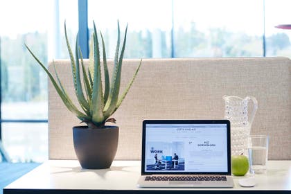 Krukväxt plast Aloe Vera med kruka